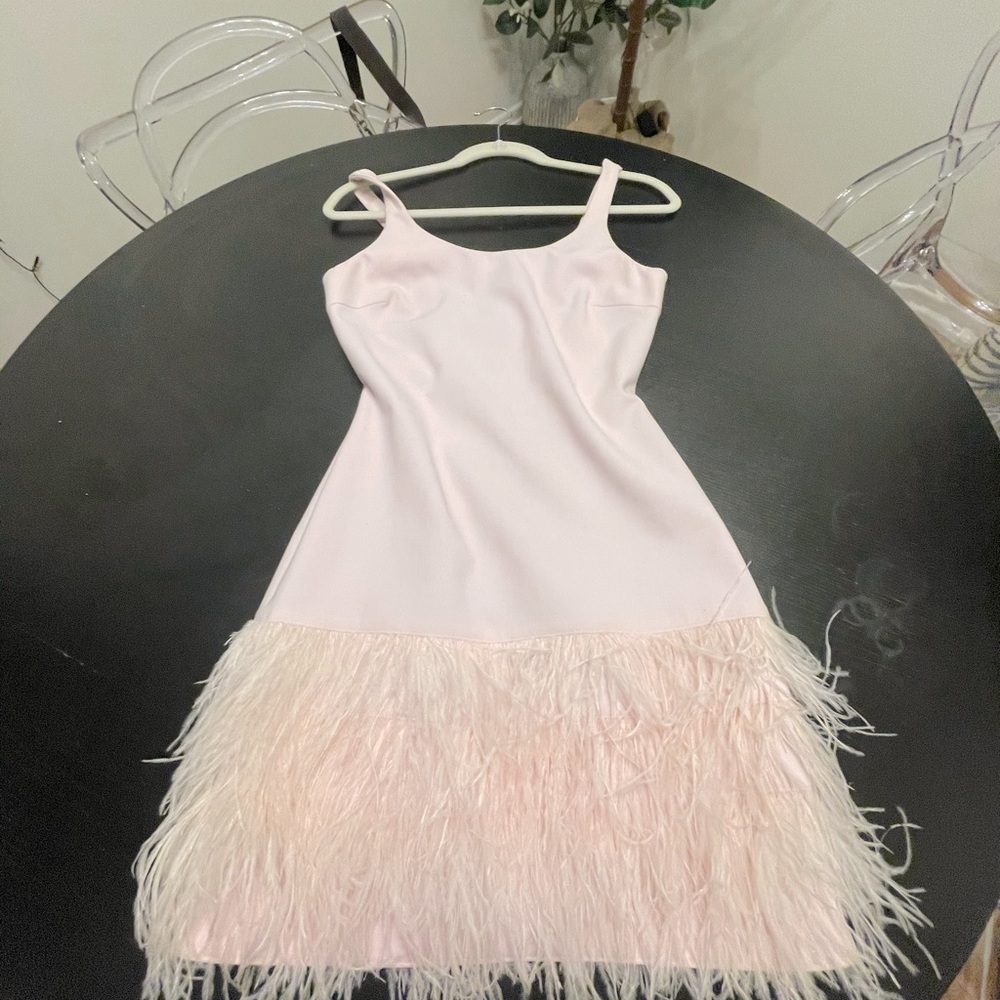 Authentic Elizabeth and James iconic feather dress size 2